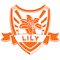 Item logo image for Lily Downloader