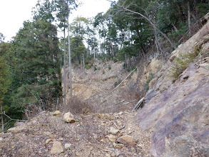 廃林道を進む（左手が北尾根）