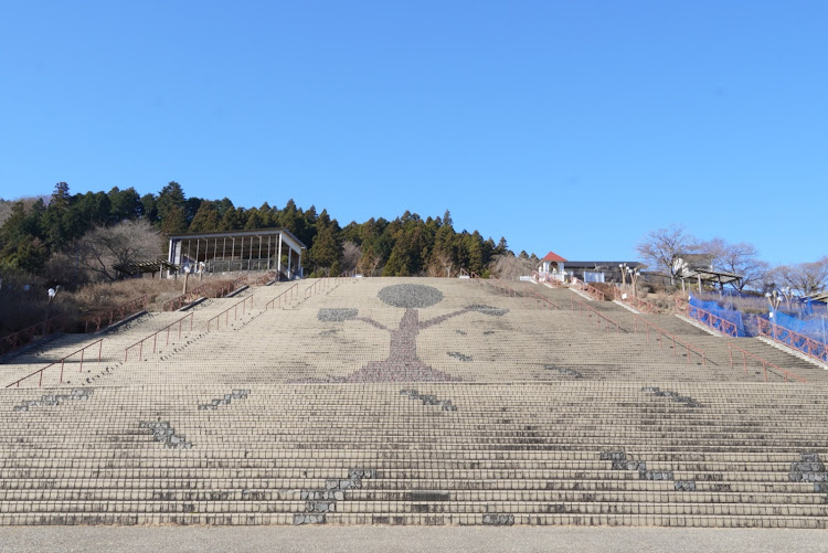 グランエースの宮ヶ瀬湖畔園地・オギノパン・グランエース・散歩・いぬに関するカスタム事例の投稿画像4枚目