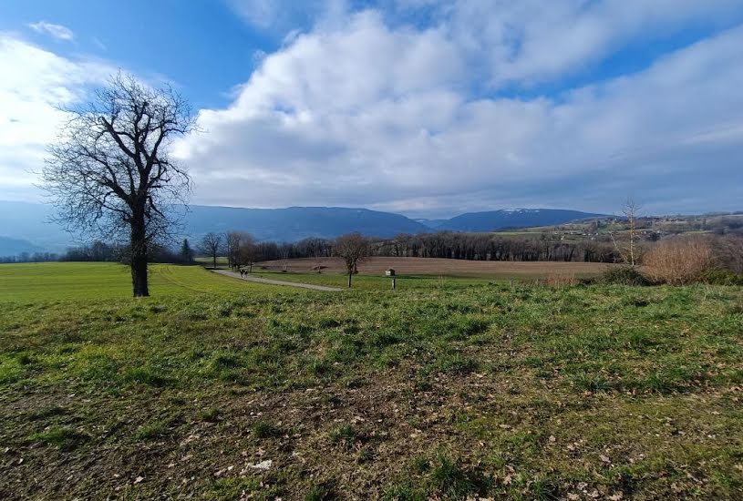  Vente Terrain à bâtir - à Bloye (74150) 