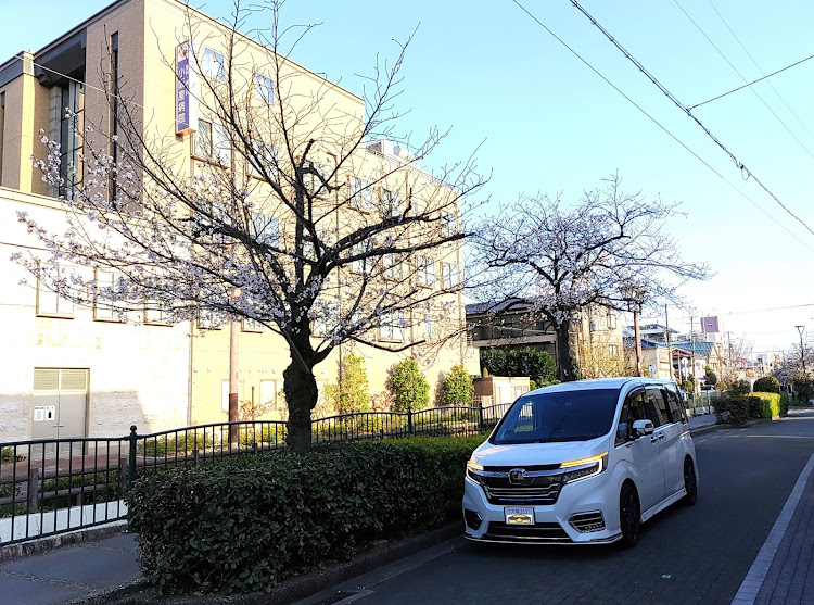 ステップワゴンスパーダの4月もよろしくお願い致します🌸・ステップワゴン・桜シーズン開幕・サクラと愛車・さくらとコラボに関するカスタム事例の投稿画像20枚目