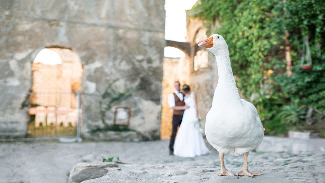 Wedding photographer Olga Franco (olgafranco). Photo of 28 October 2016