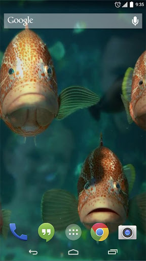 Ocean Fish Live Wallpaper