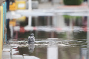 The South African Weather Service has issued a warning regarding disruptive rainfall that may cause localised flooding, affecting numerous regions of the country on Tuesday. File photo. 