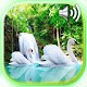 Download Waterfalls and Swans Live Wallpaper For PC Windows and Mac 1.0