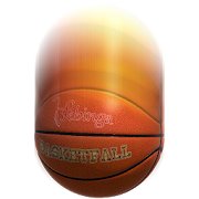 BASKETFALL  Icon