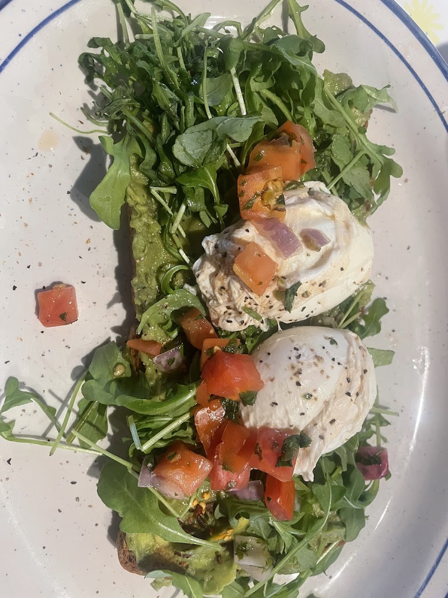 Avocado taost poached eggs