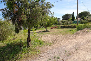 terrain à Saint-Quentin-la-Poterie (30)