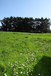 terrain à Saint-Bonnet-les-Oules (42)