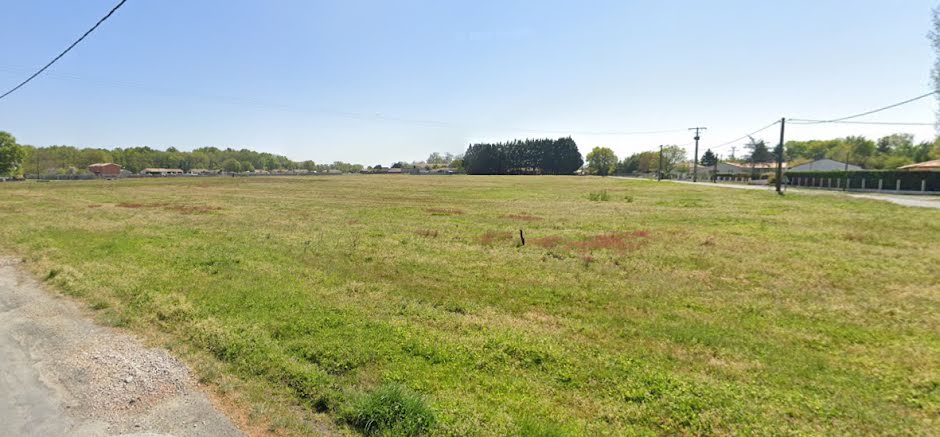 Vente terrain  666 m² à Cissac-Médoc (33250), 75 000 €