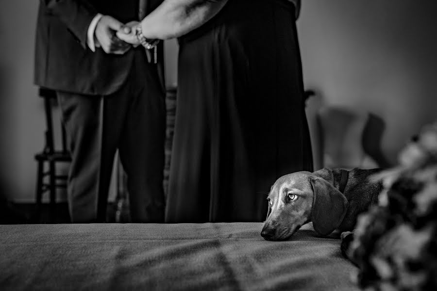 Fotografo di matrimoni Lorenzo Loriginale (lorenzoloriginal). Foto del 29 luglio 2020