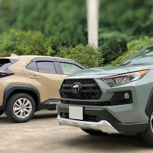 RAV4 MXAA54