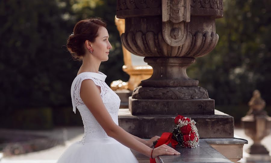 Vestuvių fotografas Andrey Nikolaev (andrey). Nuotrauka sausio 19