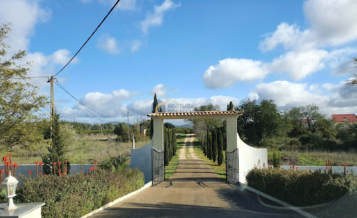 House 4