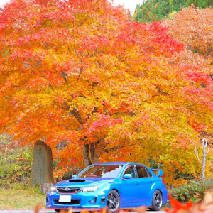 インプレッサ WRX STI GVB