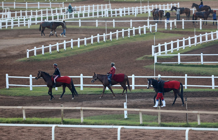 Horses going back to the stable after a morning training at Summerveld Horse Training Centre in KwaZulu-Natal.