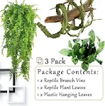 3 pack