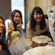 OWL Coffee 貓頭鷹咖啡