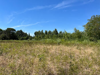 terrain à Castelnaudary (11)