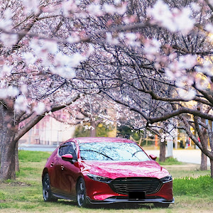 MAZDA3 BP8P