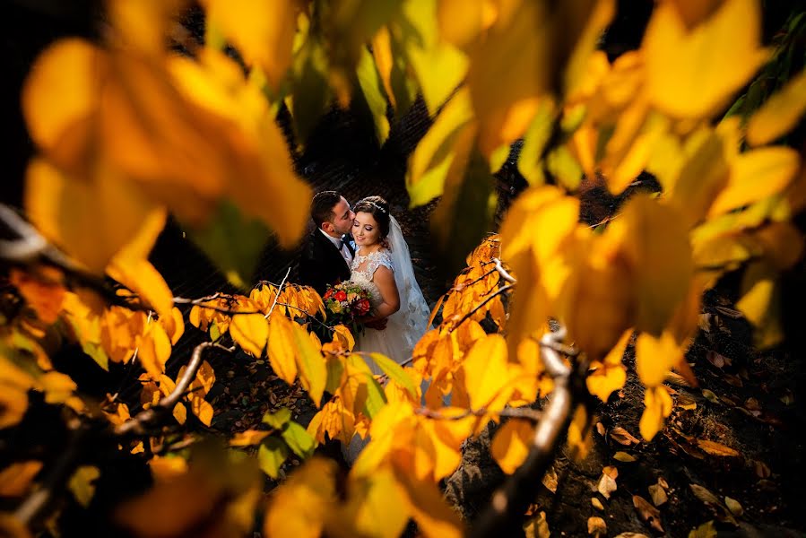 Fotografo di matrimoni Marius Stoian (stoian). Foto del 21 ottobre 2018