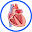 Mitral Insufficiency Download on Windows