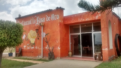 Restaurant Rosa De Oro - Carretera Puerto Escondido, Barrio de San Antonio, 71270 San Pablo Huixtepec, Oax., Mexico