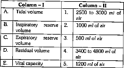 Pulmonary volumes and capacities