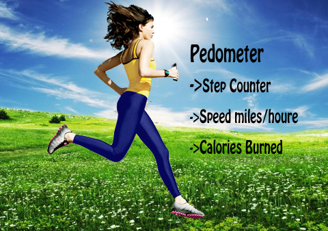 Pedometer Fitness Coach