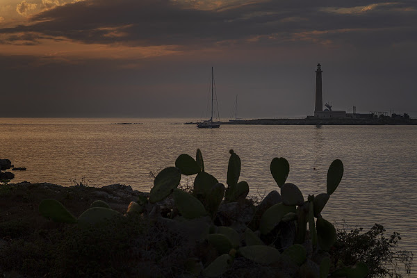 L'oro di Favignana di gabrielomar