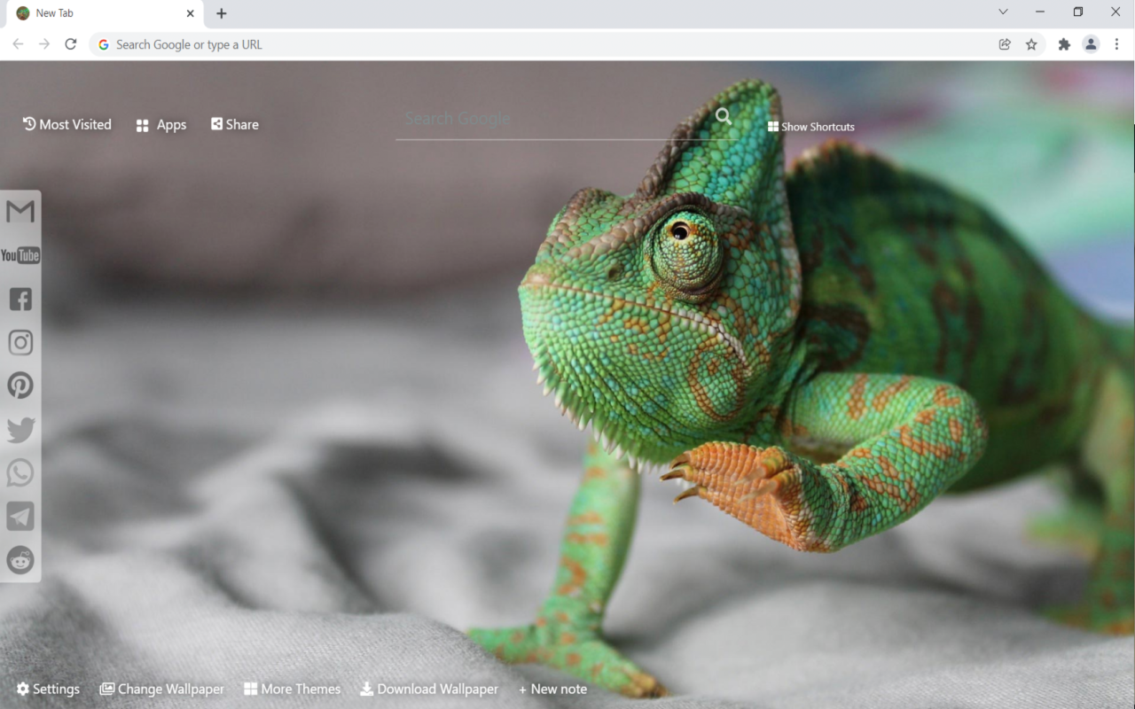 Chameleon Wallpaper HD New Tab Preview image 3