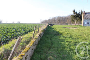 maison à Sagonne (18)