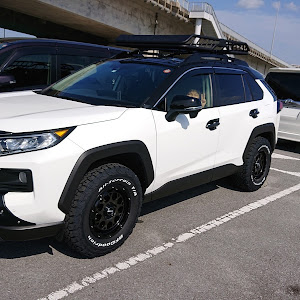 RAV4 MXAA54