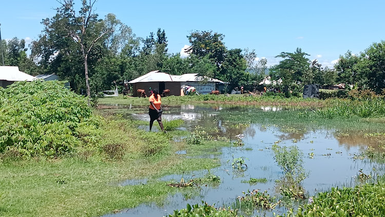 A woman wades through floods near their home in Karachuonyo constituency on April 11,2024