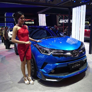 C-HR ZYX10