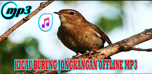 Kicau Burung Jongkangan Joss Mp3 Apk 1 1 Download Apk