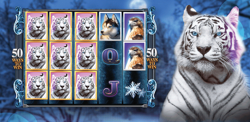 Slots Super Tiger Casino Slots