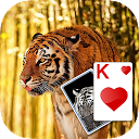 Download Solitaire Tiger Theme Install Latest APK downloader