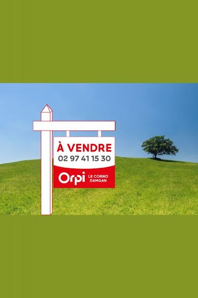 Vente terrain  520 m² à Damgan (56750), 327 600 €