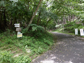 林道から登山口（左）のようす