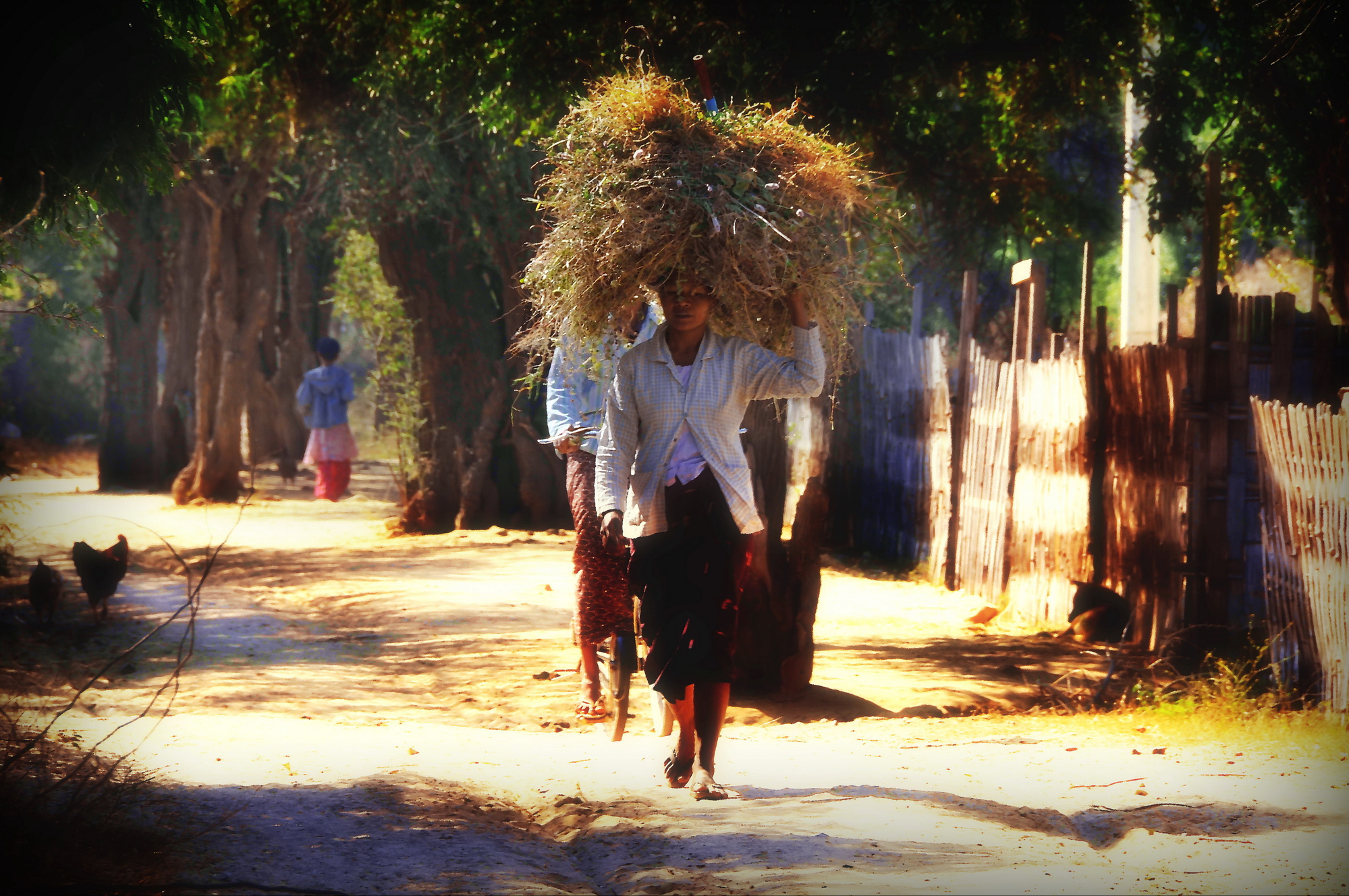 vita quotidiana nel villaggio di Bagan di dobrasil