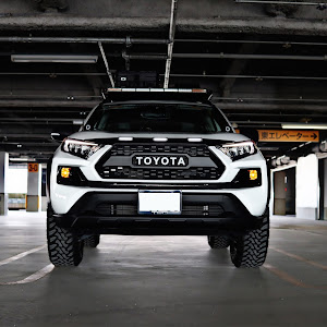 RAV4 MXAA54