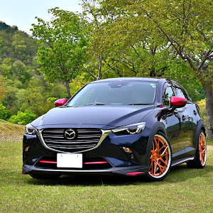 CX-3 DKEFW