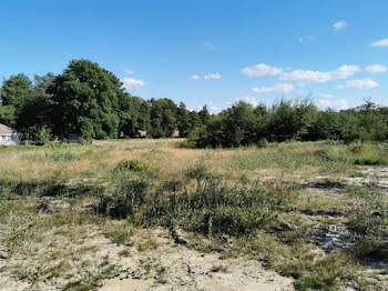 terrain à Oradour-sur-Glane (87)