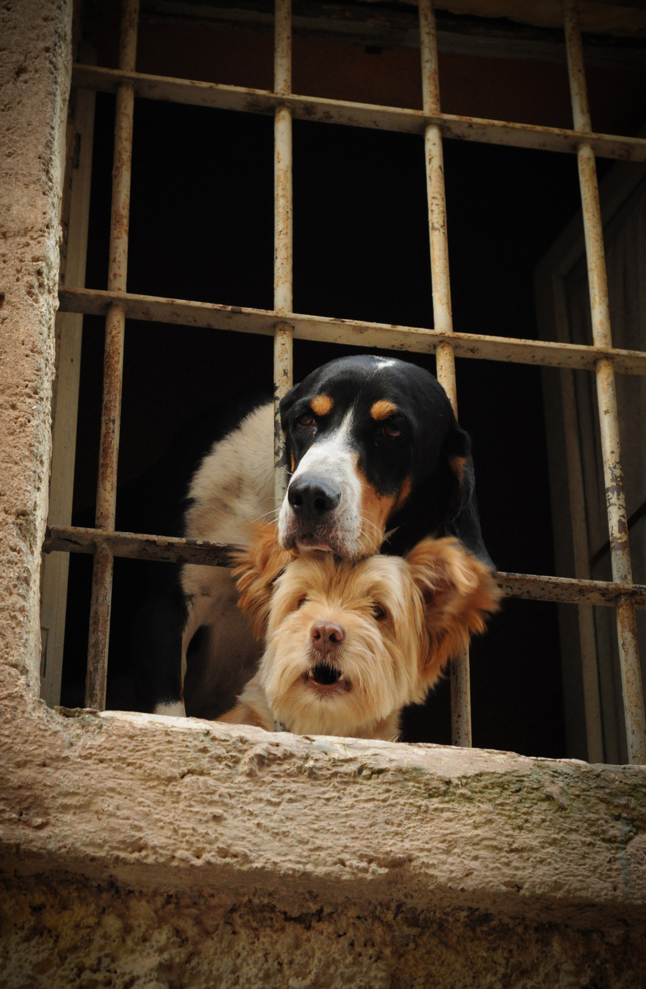 Gianni e Pinotto di bonnot