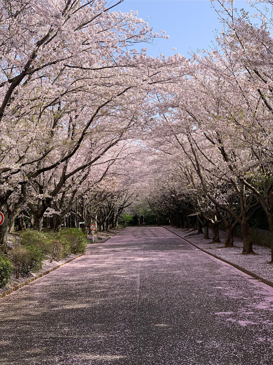 の投稿画像8枚目