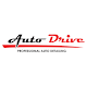 Download AUTO DRIVE For PC Windows and Mac 1.0.0