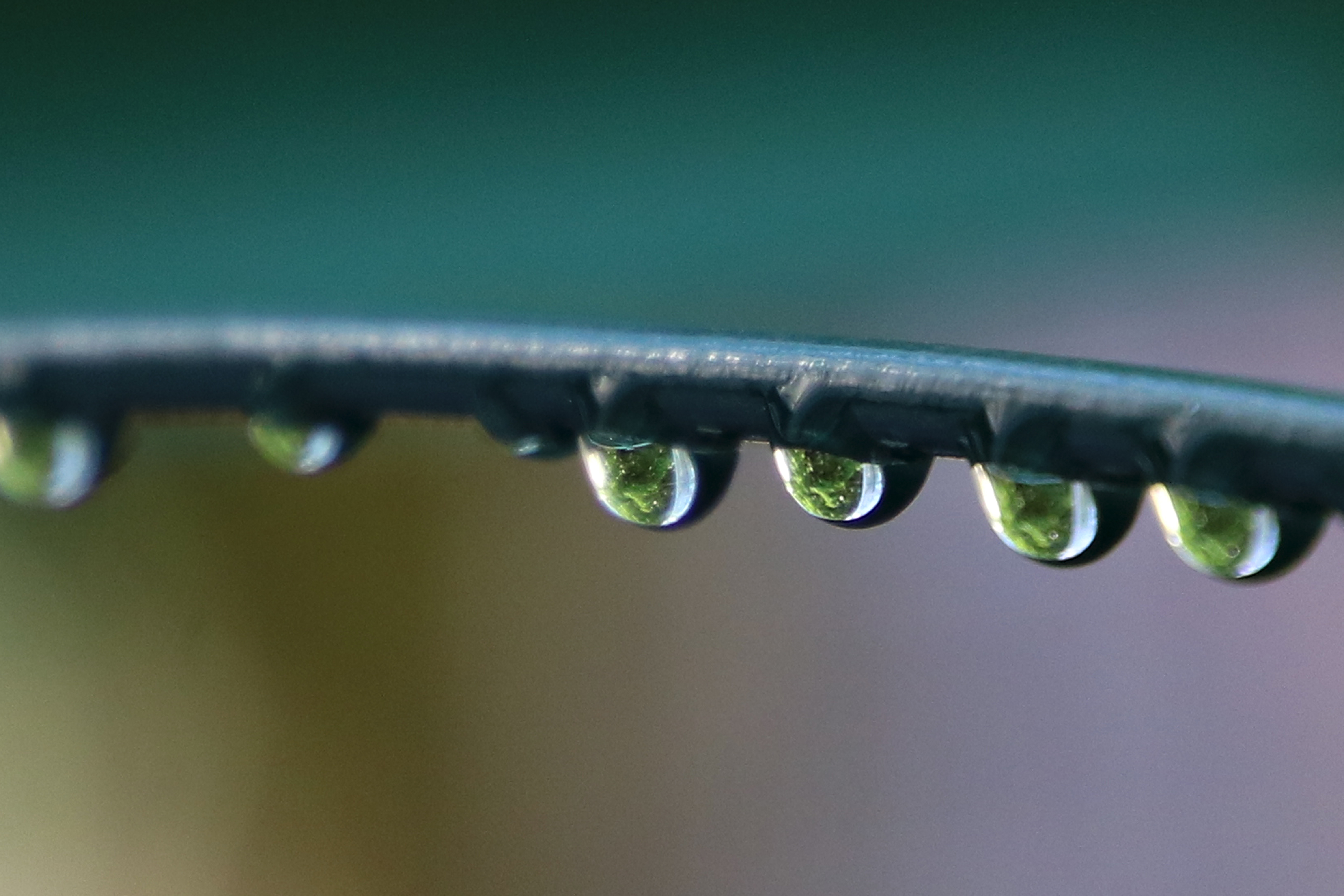 Verde acqua di gianluca_nicoletti