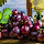 Grapes Pop Wallpaper HD Fruit New Tab Theme