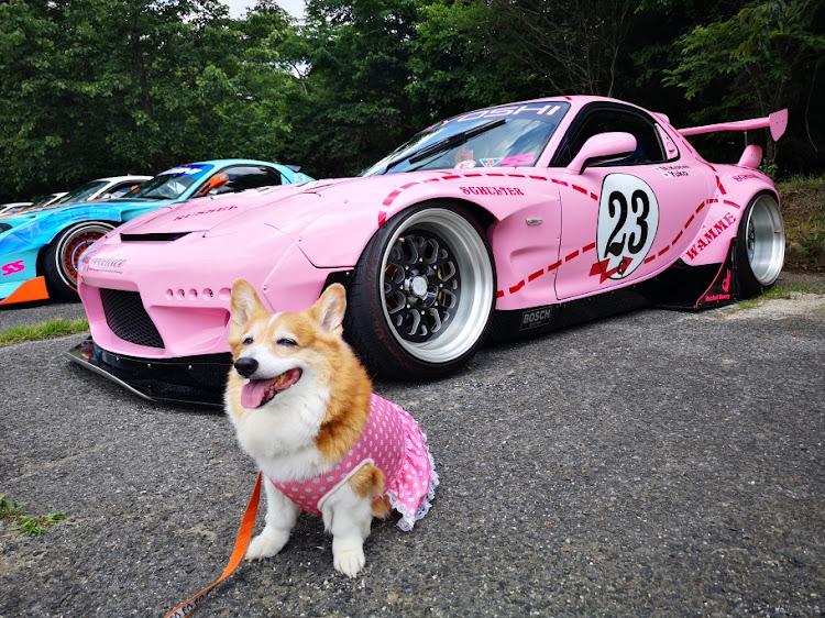 RX-7のコーギーのなな・広島7DAY・広島セブンデー・ビンゴ運今回は炸裂せず・SEVEN-LIVESに関するカスタム事例の投稿画像17枚目